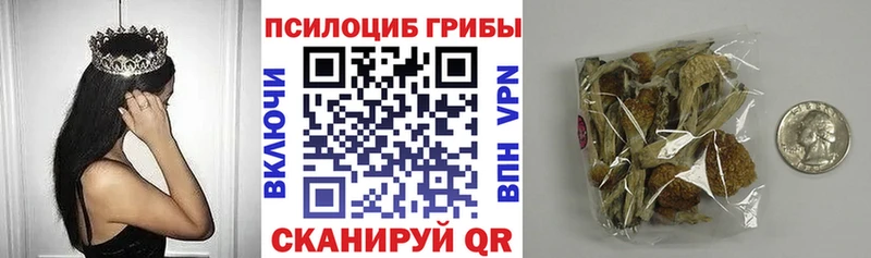 Галлюциногенные грибы Cubensis  закладки  Мариинск 
