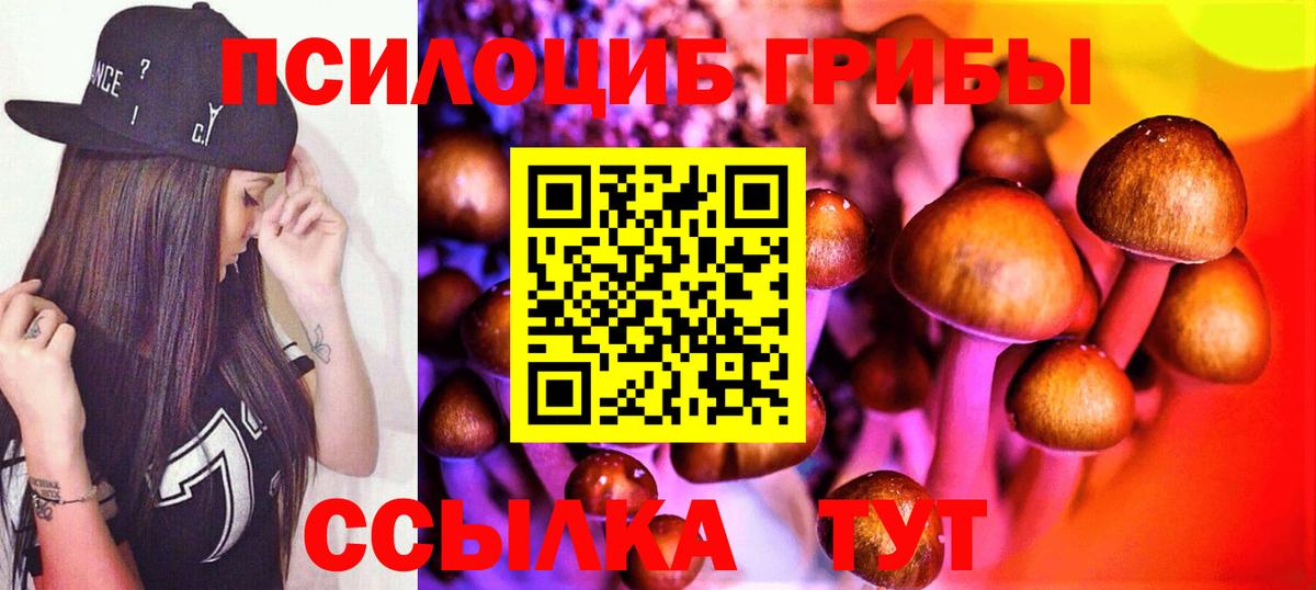Галлюциногенные грибы Psilocybe Мариинск