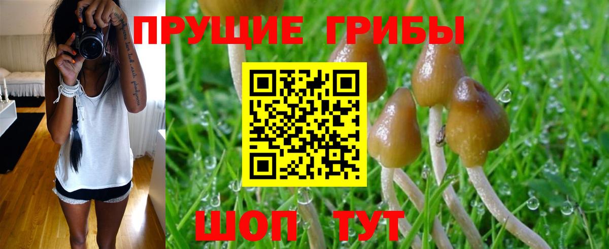 купить наркотики сайты  Псилоцибиновые грибы Cubensis  Вход с VPN  Мариинск 